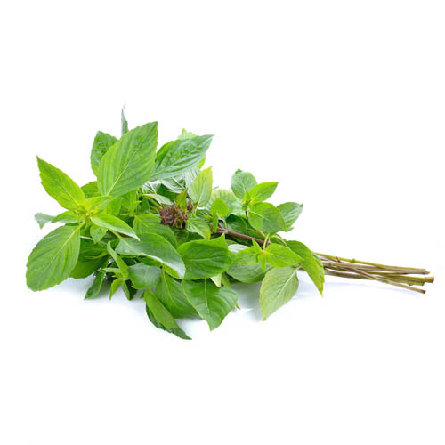 Sweet basil leaf, 80-100g