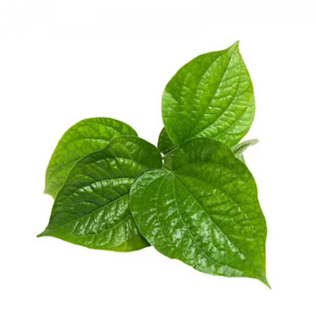 Betel leaf, 100g