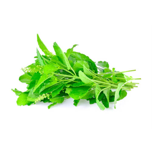 Thai holy basil 80-100g