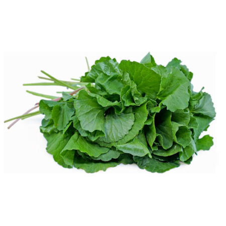 Pennywort, 80-100g