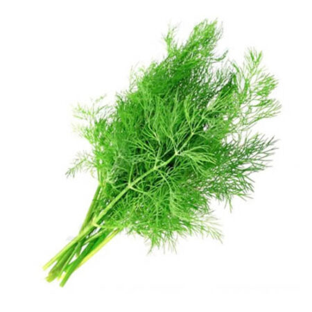 Dill, 80-100g